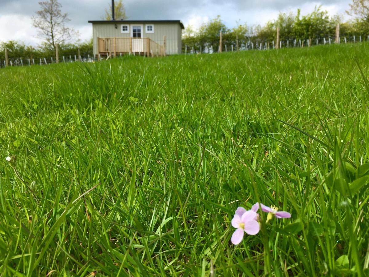 Rosemary Shepherds Hut, Clay Bank Huts Ingleby Greenhow Экстерьер фото